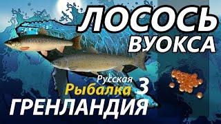 Лосось Вуокса Качаемся с 18 до 30 разряда / РР3 [Русская Рыбалка 3 Гренландия]