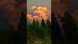 Relaxing Video |  Nature Relaxing View