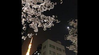 [free] lucki type beat "sakura"