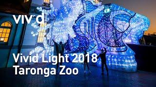 Vivid Light 2018 | Taronga Zoo