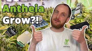 So geht es mit der Antheia Box weiter | Ein Grow Computer