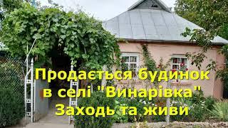 БУДИНОК ПРОДАМ В СЕЛІ "ВИНАРІВКА ДІВИЦЯ", ЗАХОДЬ І ЖИВИ / ОГЛЯД / Київська обл. Біло-Церківський р-н