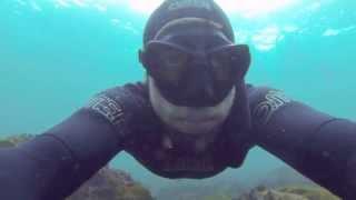 Freediving Cook Island April !st