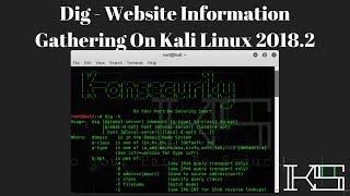 Dig - Website Information Gathering On Kali Linux 2018.2