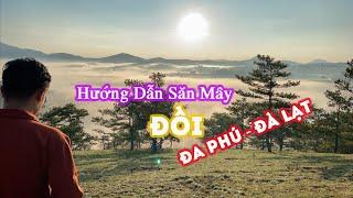 Hướng Dẫn Đi Săn Mây Đồi Đa Phú Đà Lạt - Tour Đà Lạt - Đà Lạt Săn Mây Mộng Mơ |Tích Travel Vlogs #31