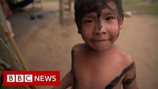 Amazon rainforest indigenous people in fight for survival- BBC News