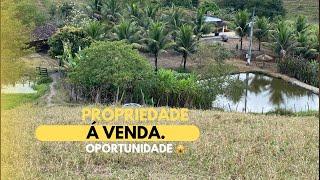 OPORTUNIDADE! Sítio a venda em ibateguara AL. (82)994336662, curiosos não entrar em contato. Paraíso