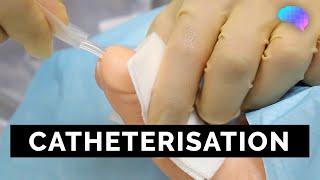 Catheterisation | OSCE Guide | UKMLA | CPSA