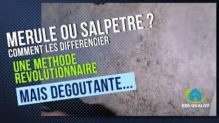 Comment identifier le Salpêtre ? Une méthode "Révolutionnaire "... mais un peu dégoutante