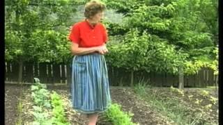 Rudolf Steiner Biologisch Dynamisch Tips für Biogärtner und Obstbaumschnitt