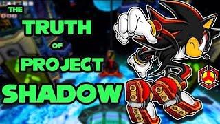 Everything You Need to Know about Shadow the Hedgehog