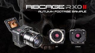 Ribcage RX0 II - Autumn Footage Sample