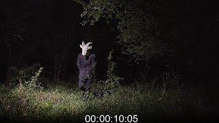 Most Disturbing Encounters in the Woods