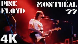[NEW FILM] Pink Floyd - Live in Montréal, QC (July 6th, 1977) - Super 8mm film - SOURCE 2