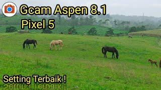 New ! Gcam Aspen 8.1 Pixel 5 Setting Terbaik || Tested On Realme 5 Pro