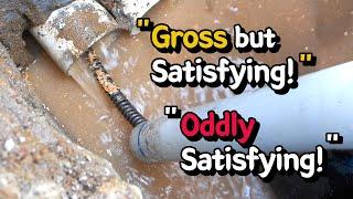 Yes, it is gross but satisfying! That's what we love about our job.