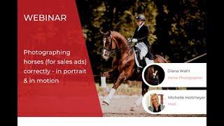 ehorses Webinar: How to take great photos of your horse for sale ads