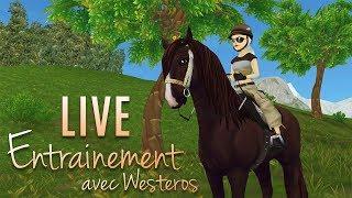 Entraînement de nos chevaux ! | Star Stable Online