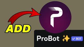 How To Add ProBot To Discord Server