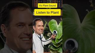 We listened Plants Sound