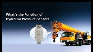 hydraulic pressure sensor for heavy equipment