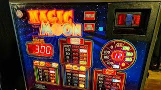 Magic Moon Gokkast Reflex Gaming (Dutch Slot Machine)