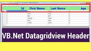 VB.Net Datagridview Header Using Visual Studio [ with source code ]