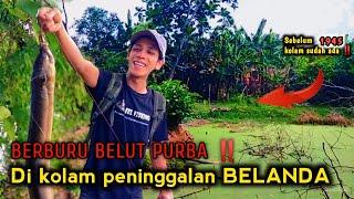 JELAS BAHAGIA‼️ MANCING BELUT PURBA DI KOLAM BELANDA