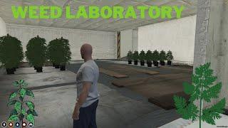 Cultivate High Times with FiveM WeedLab MLO: Mods, Maps, Interior, and Ymaps for Green Adventures!