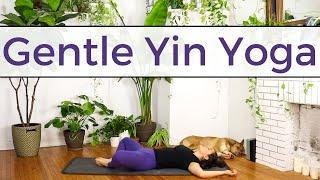 Gentle Yin Yoga | Yin Yoga for Beginners | No Props | 20 Minute Class