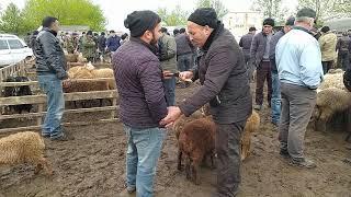 Gəncə mal-qoyun bazarı