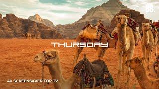 4K Thursday Desert Screensaver with Nature Sounds | 4K Desert Wildlife for 4K TV, Samsung, LG, PC