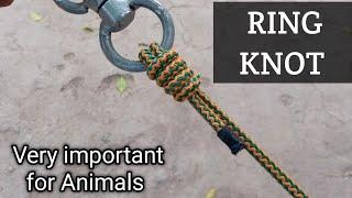 RING KNOT #how #knots @sajjad12455