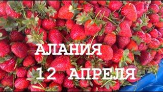  АЛАНИЯ Рынок 12 апреля Цены на клубнику апельсины овощи Турция 2021