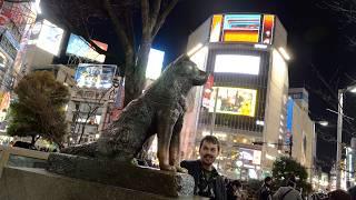 Hachiko Statue (03/14/2025) Raw B-Roll Archive ハチ公 03.14.2025 アーカイブ