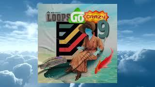 MSXII Sound Design - Loops Go Crazy Vol. 9 (Sample Pack)