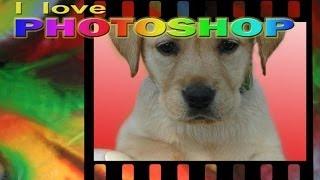 Photoshop - Selezioni perfette con la maschera veloce - tutorial italiano