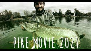 Pike Movie 2021 Switzerland - #iCatchFish #Schweiz #Hecht