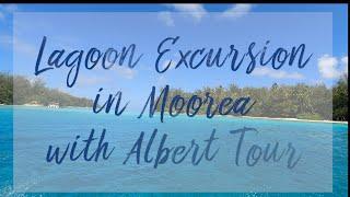 Travel Guide : Lagoon Excursion in Moorea with Albert Tour ! Swimming with shark, ray & fish 