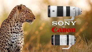 Which Zoom Lens is BEST for Wildlife? Sony 200-600 vs Canon 100-500