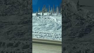 Big slide in Colorado! Monarch pass hammered with snow! #snowslide #avalanche #coloradolife #jesus