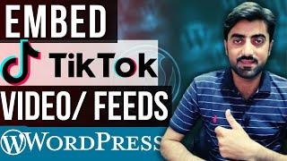 How to Embed TikTok Video in WordPress | TikTok Feeds in WordPress Website