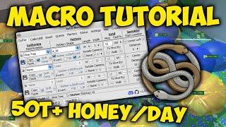 How to Macro in Bee Swarm Simulator (FULL TUTORIAL)