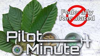 Pilot Minute: Why should I be concerned about herbal remedies?