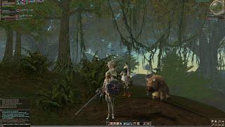 Lineage 2, Asterios.TM, Pride x1.5 server, SA crystal growing in Mirror Forest