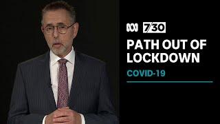 How NSW’s path out of COVID-19 lockdown compares with countries like Denmark | 7.30