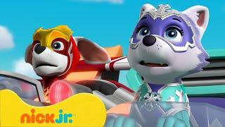 PAW Patrol | Megapups vuur- & ijsmissies! | Nick Jr. Nederlands