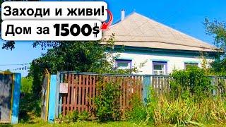  Заходи и живи! Дом в селе за 1500$ Продажа недвижимости за копейки! Всё есть! Уютное тихое село