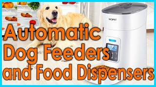 5 Best Automatic Dog Feeders and Food Dispensers.