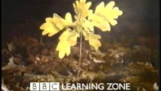 open university BBC Learning zone 2003 intro to the humanities